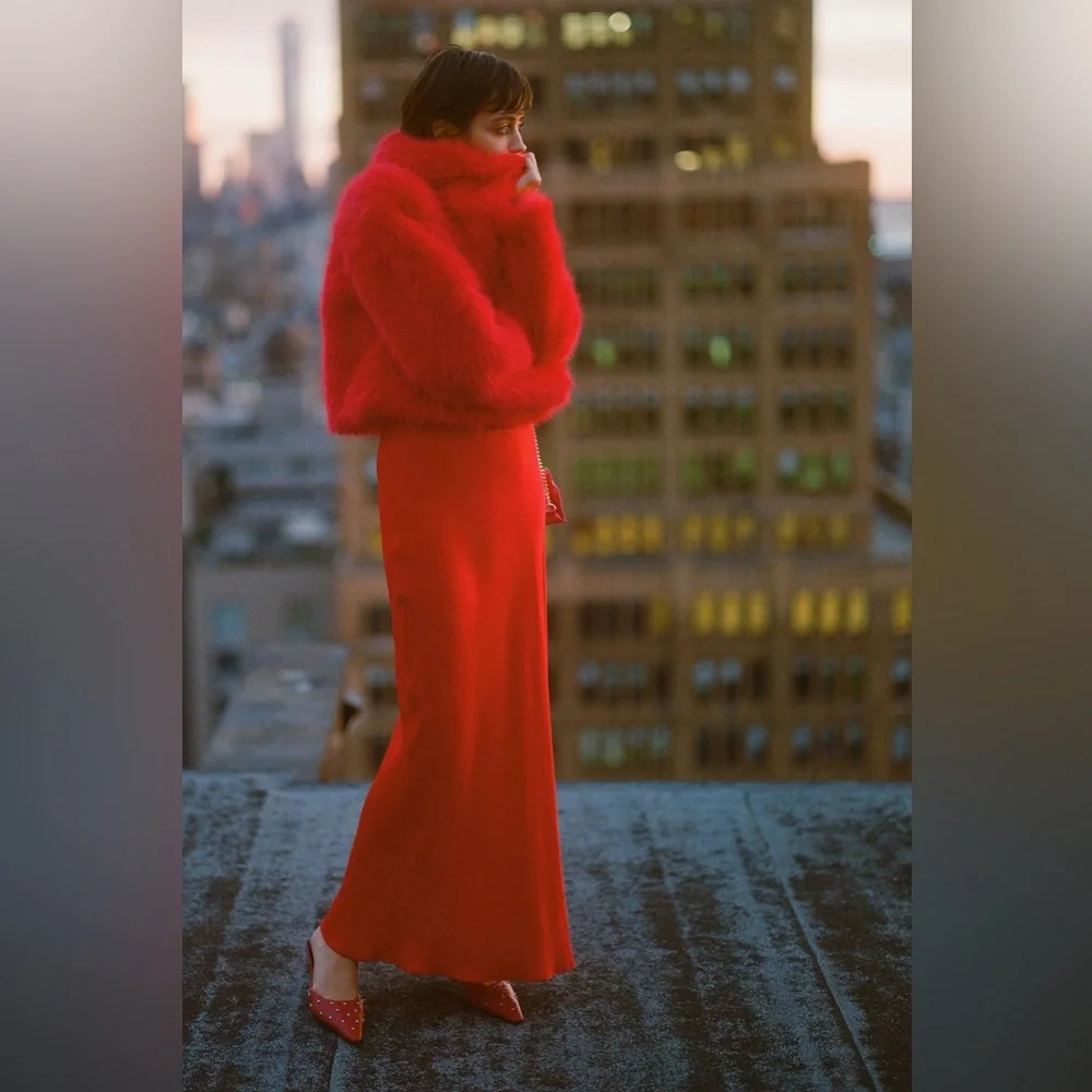 Anthropologie Red Satin Tilda Skirt - Picture 9 of 10